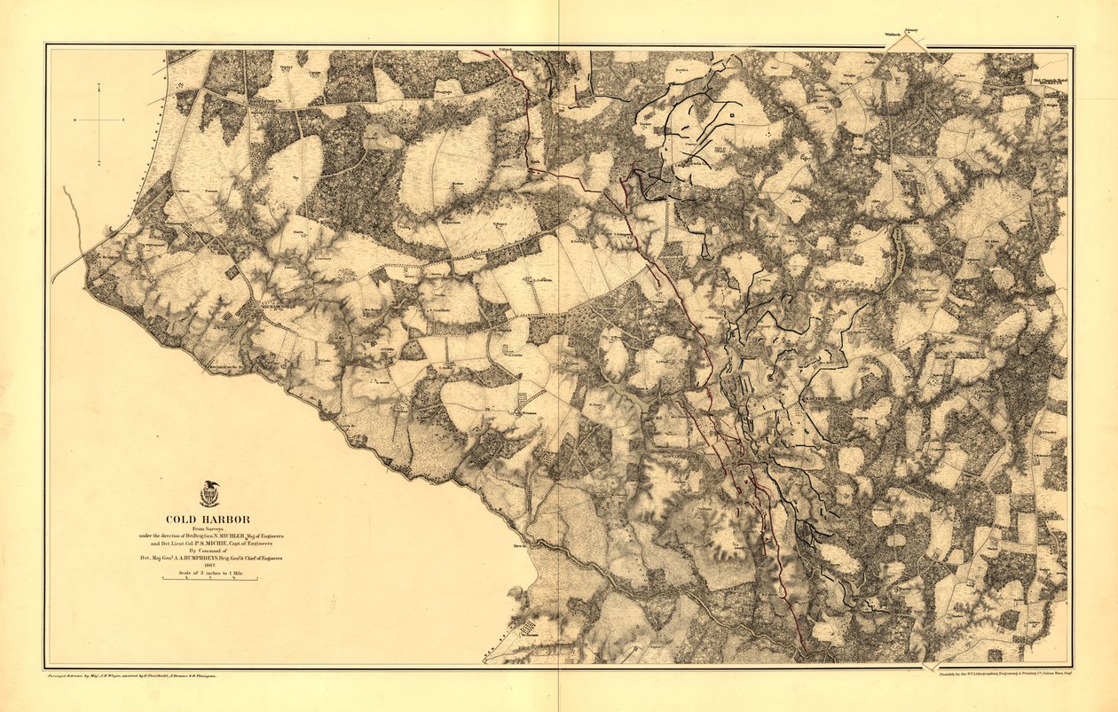 Cold Harbor (1-3 juin 1864) - N. Michler
