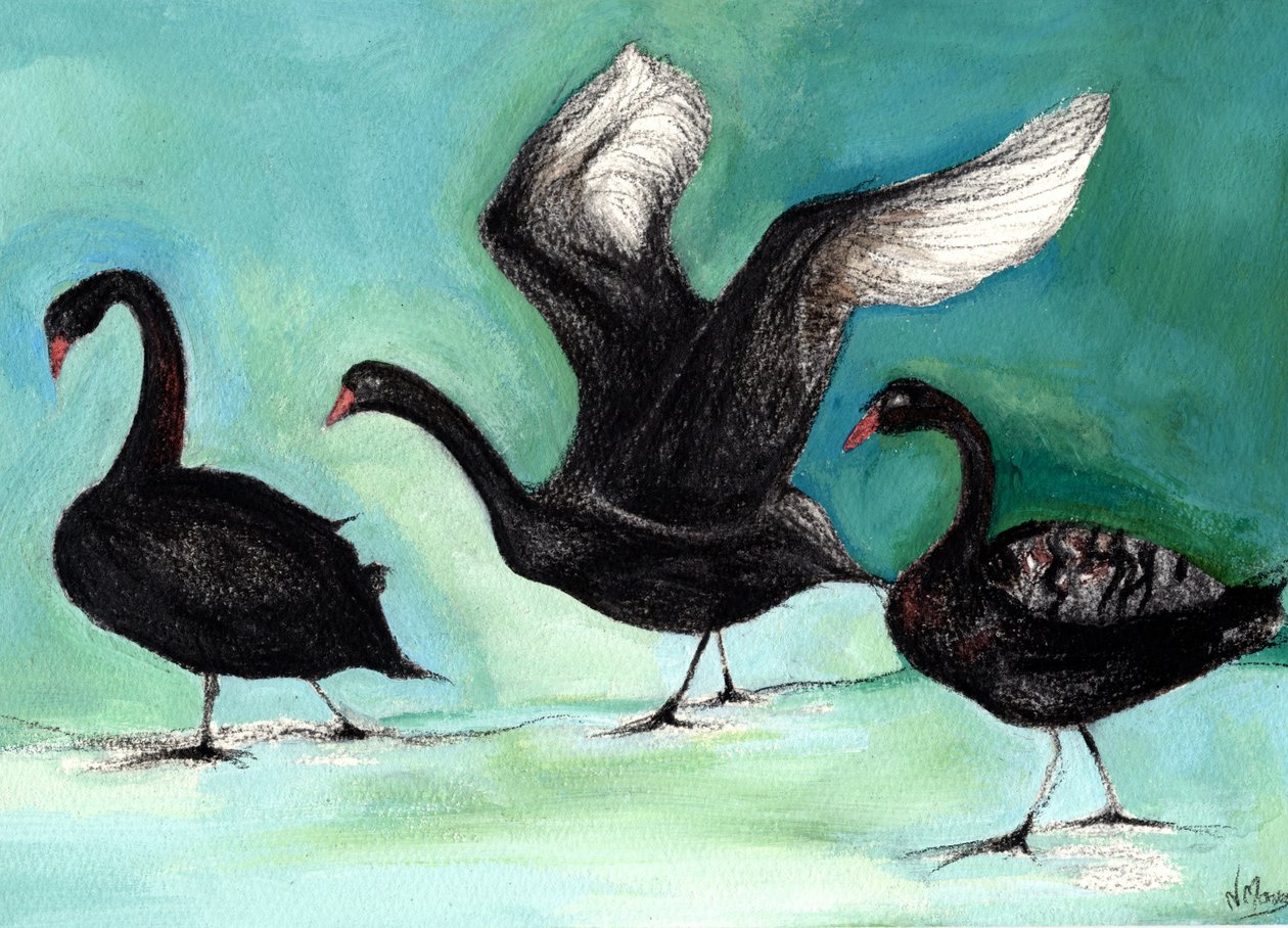 Un ballet de cygnes noirs, 2013 - Nancy Moniz Charalambous