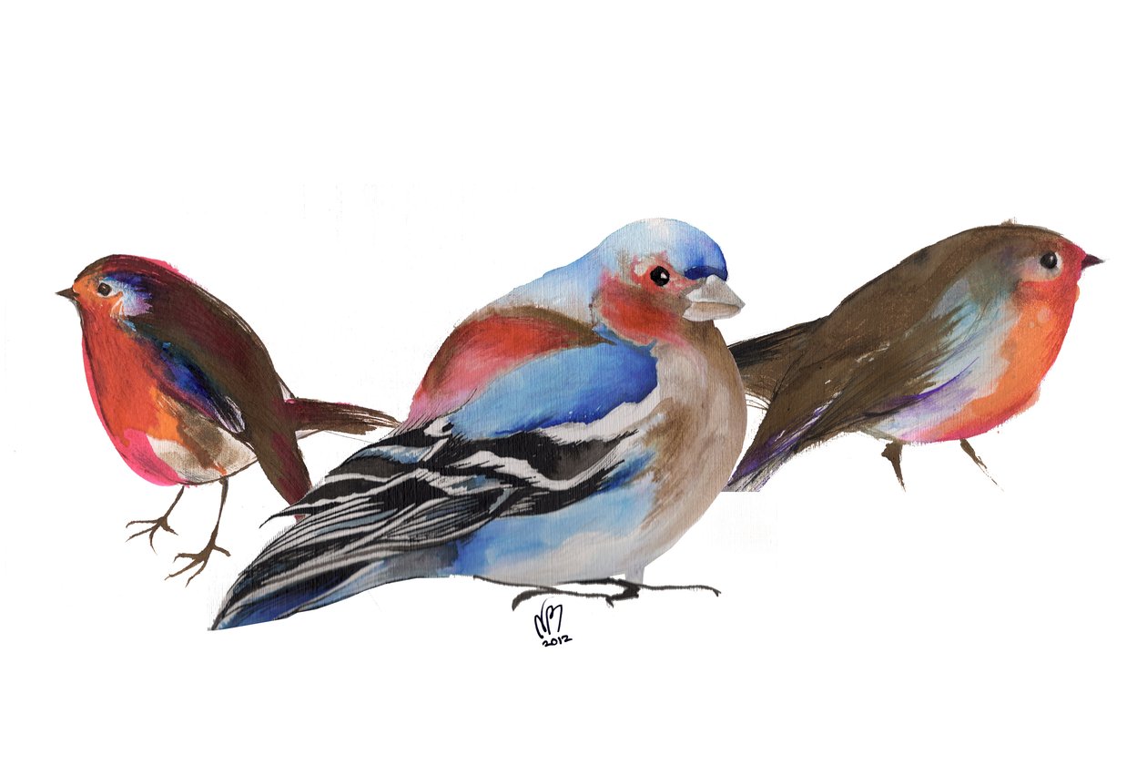 Les oiseaux d