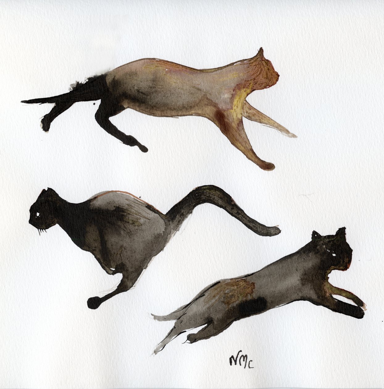 Cours, Chat, Cours, 2017 - Nancy Moniz Charalambous