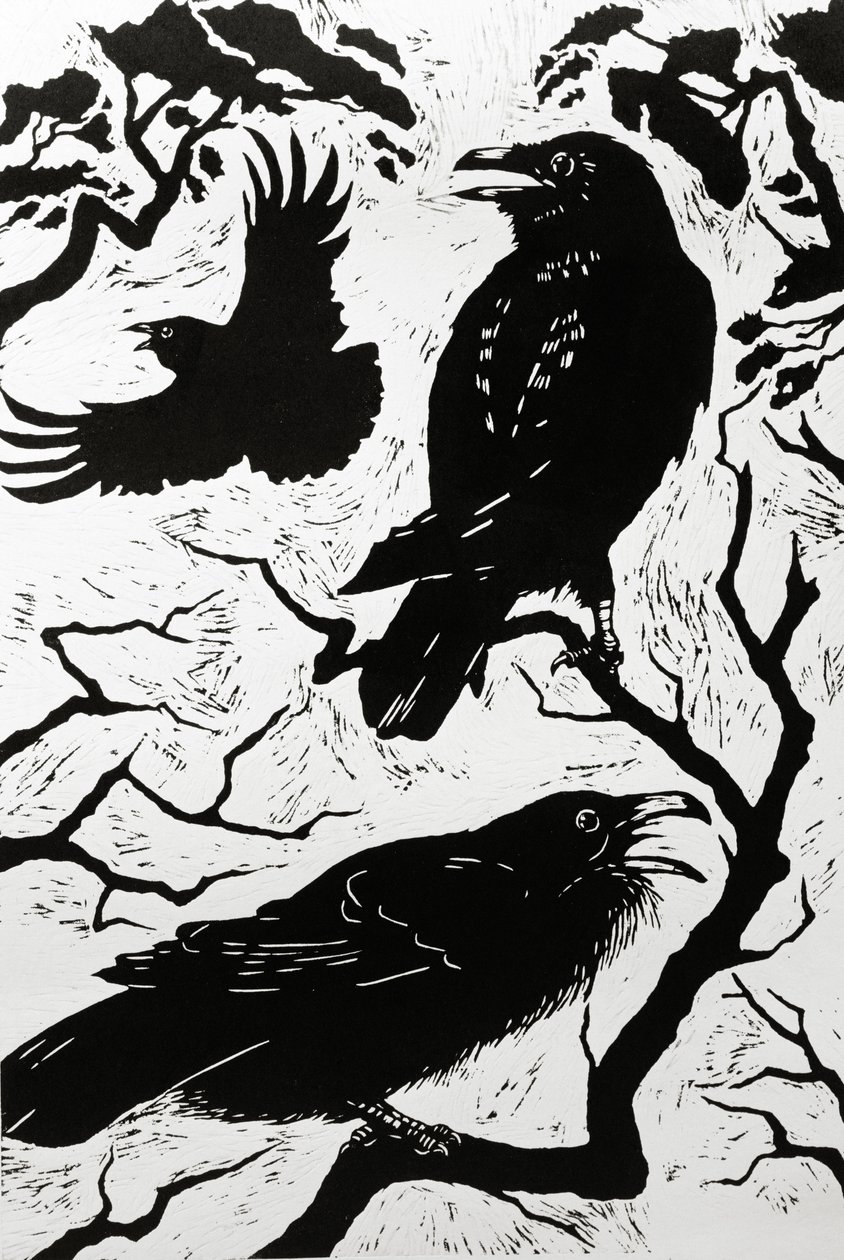 Corbeaux, 1998 - Nat Morley