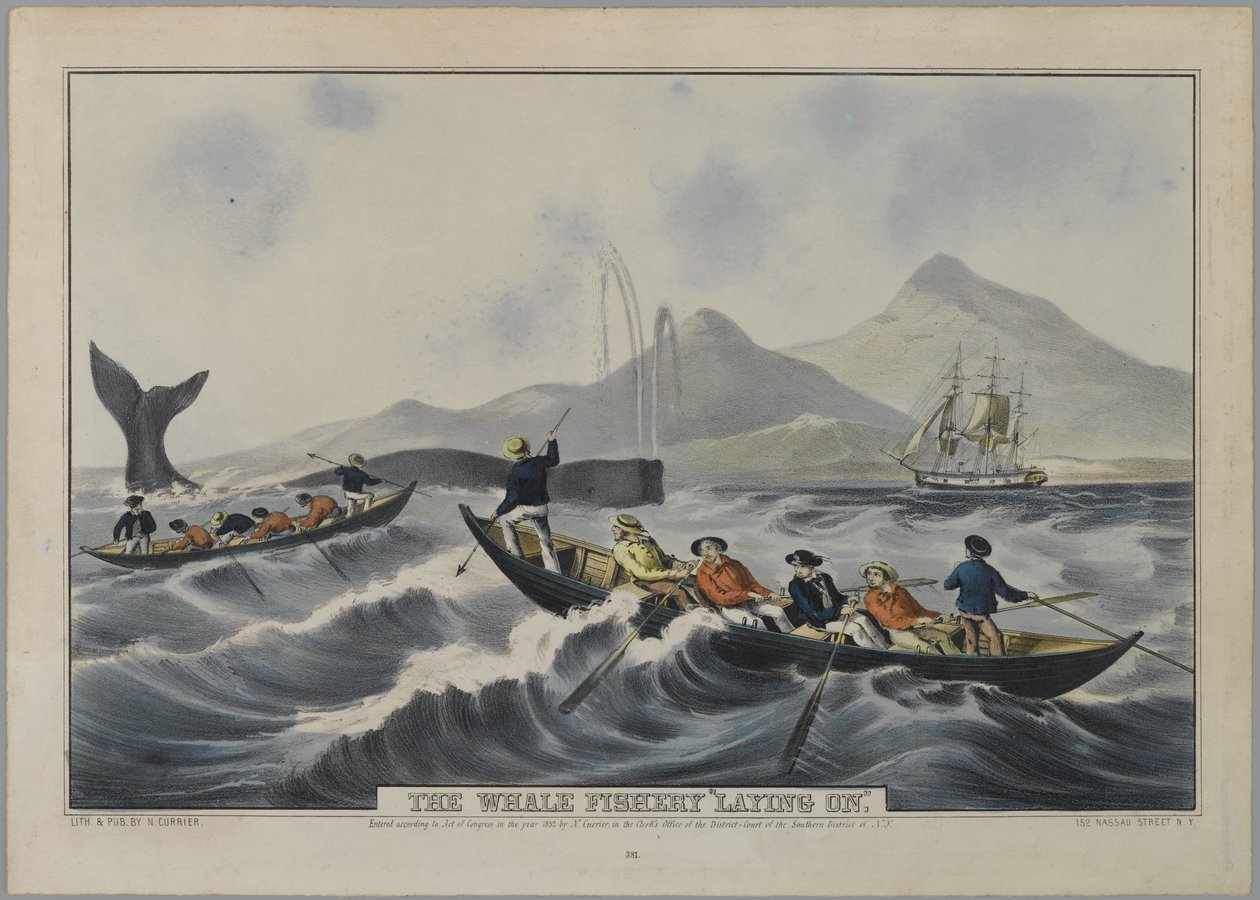 La pêche à la baleine 