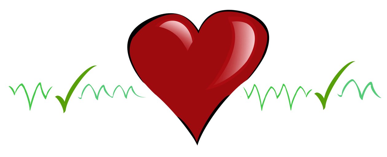 Médecine : illustration de cardiogramme - Neale Osborne