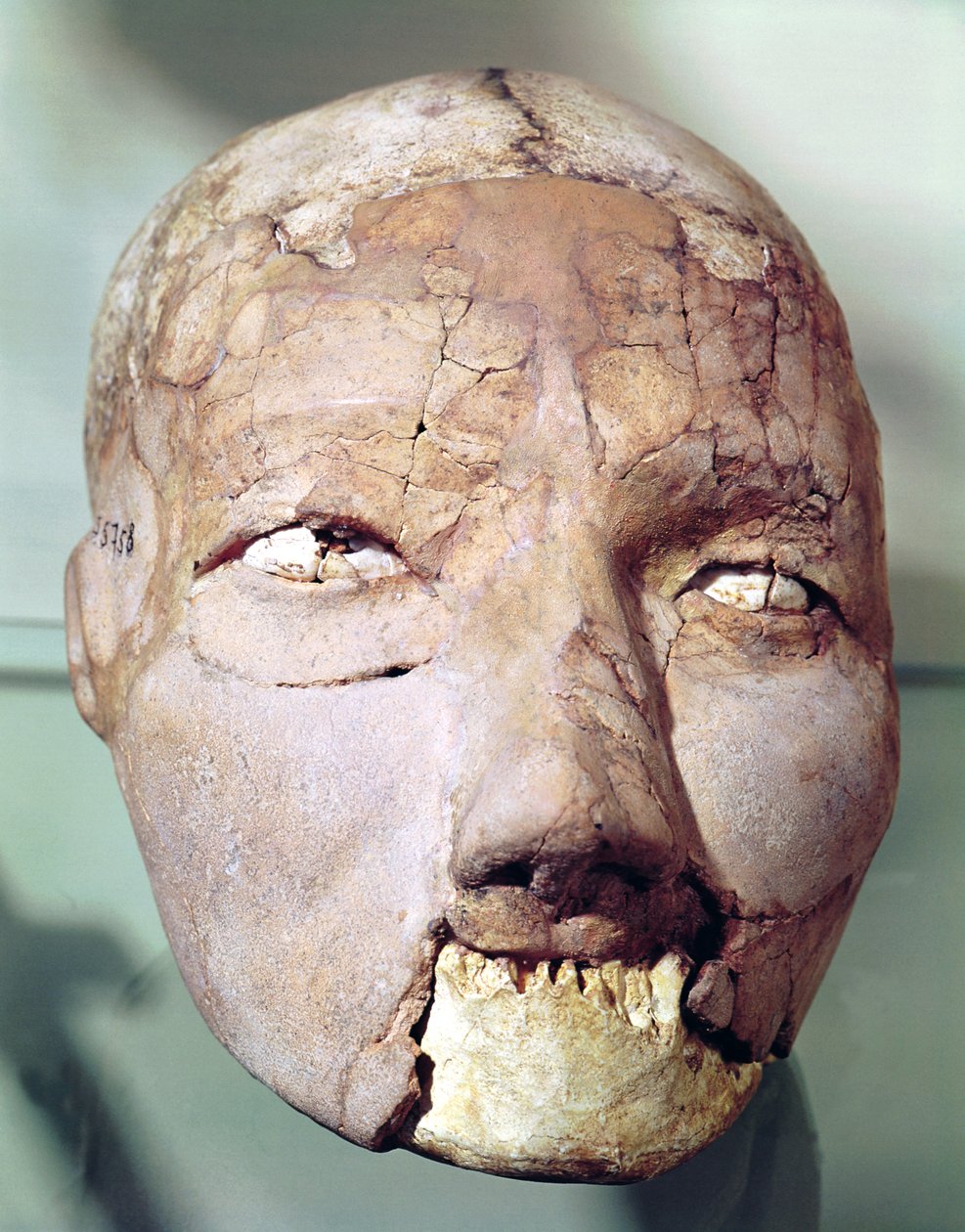 Crâne, de Jéricho, 7000-6000 av. J.-C. - Neolithic