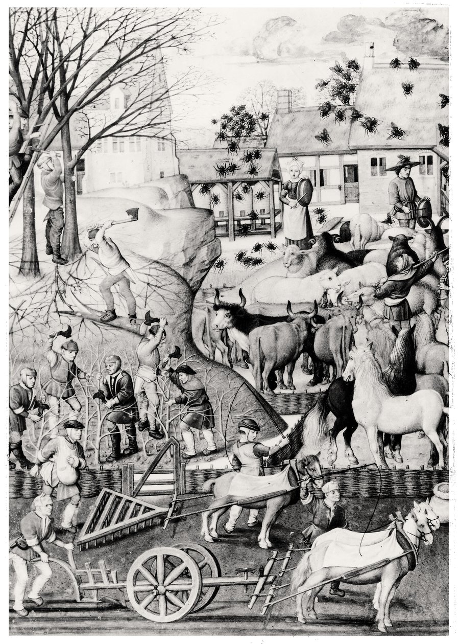 Labourage - Netherlandish School