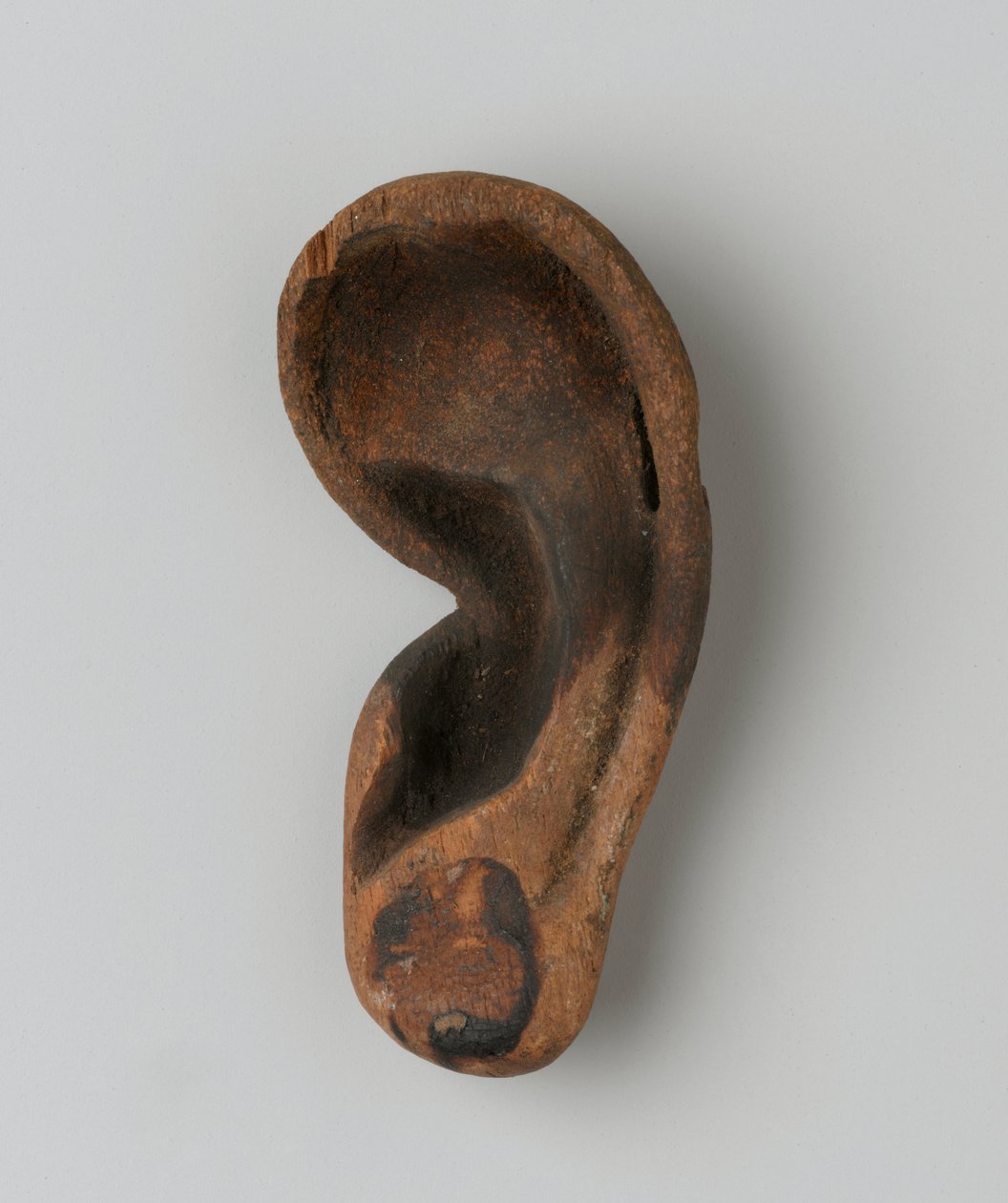 Oreille - New Kingdom Egyptian