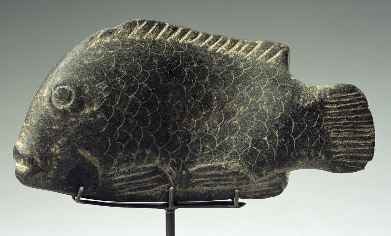 Poisson, 1540-1069 av. J.-C. (pierre noire dure) - New Kingdom Egyptian