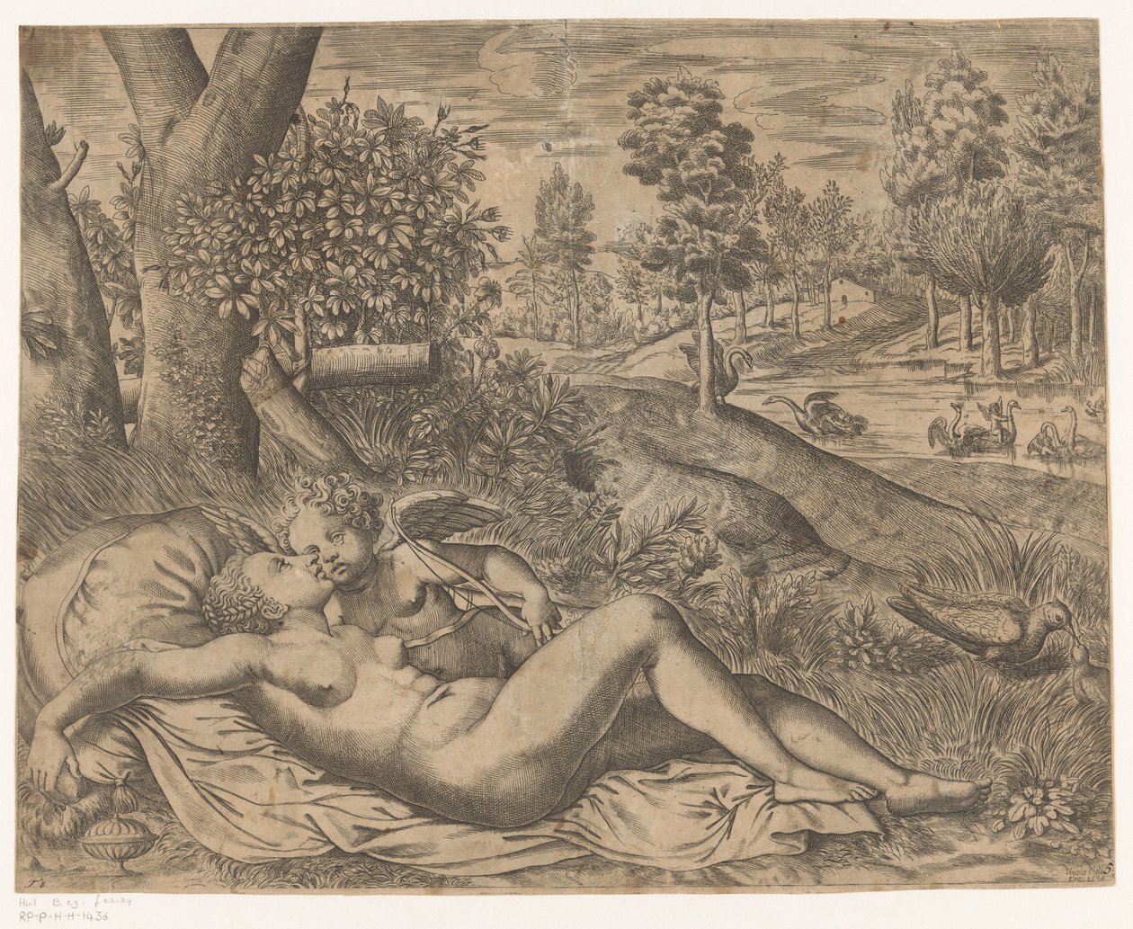 Vénus et Cupidon - Niccolò Nelli