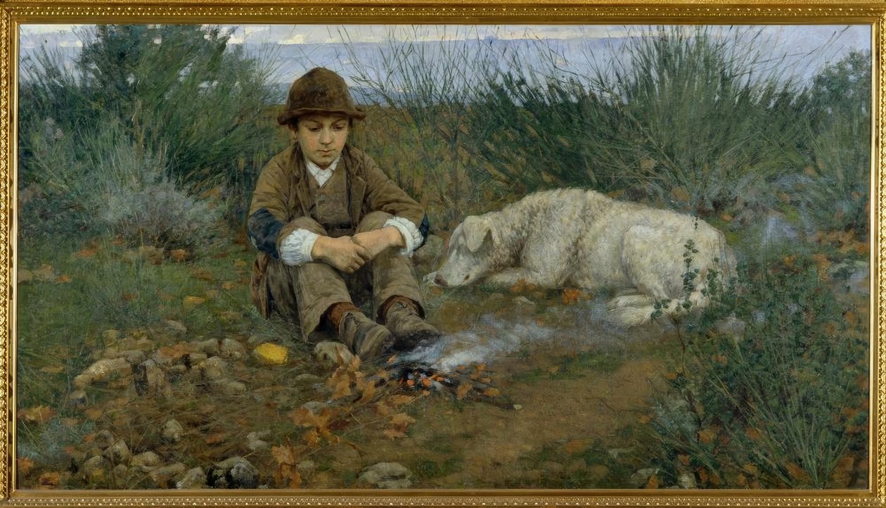Dans la forêt - Niccolo Cannicci