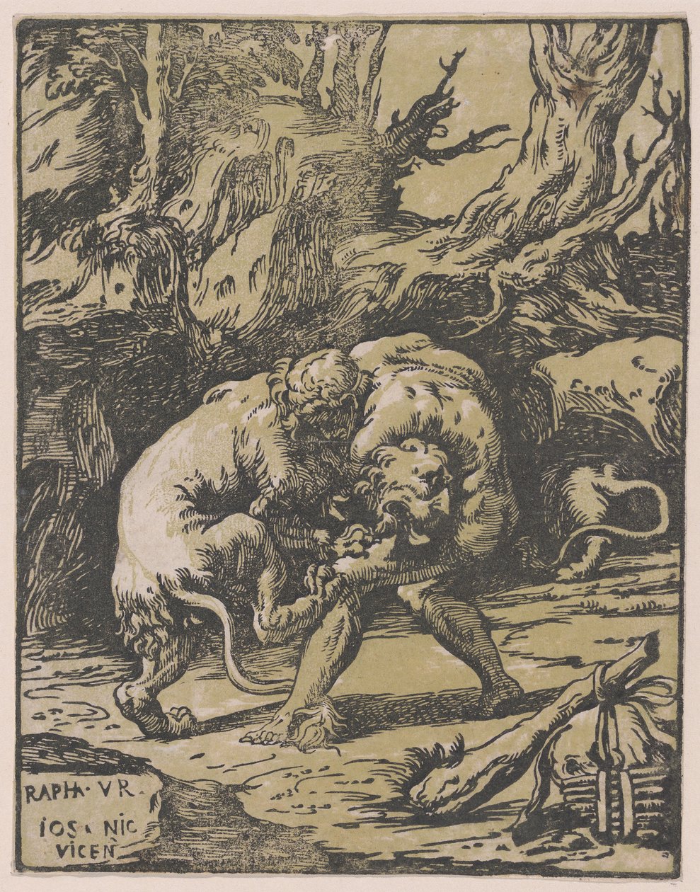 Hercule et le lion de Némée - Niccolo Vicentino