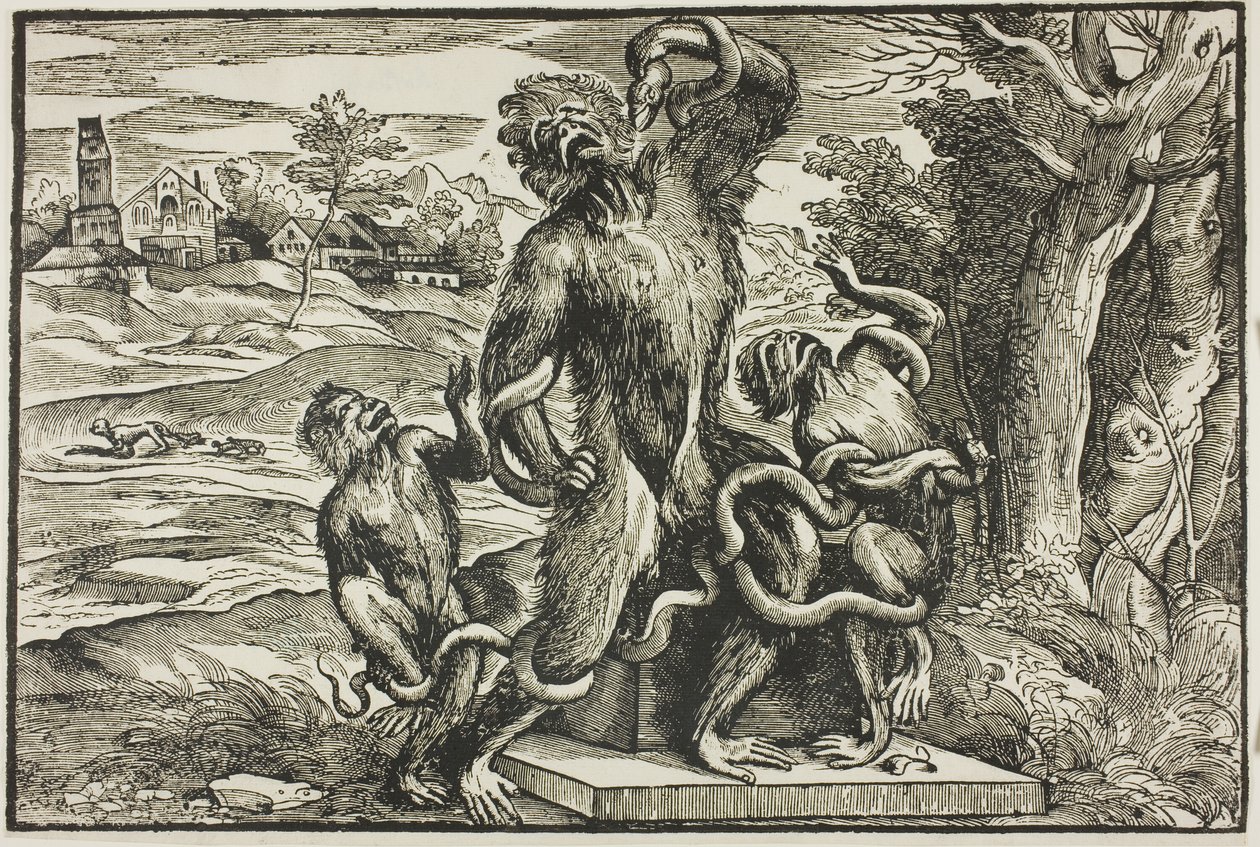 Laocoon - Nicolò Boldrini
