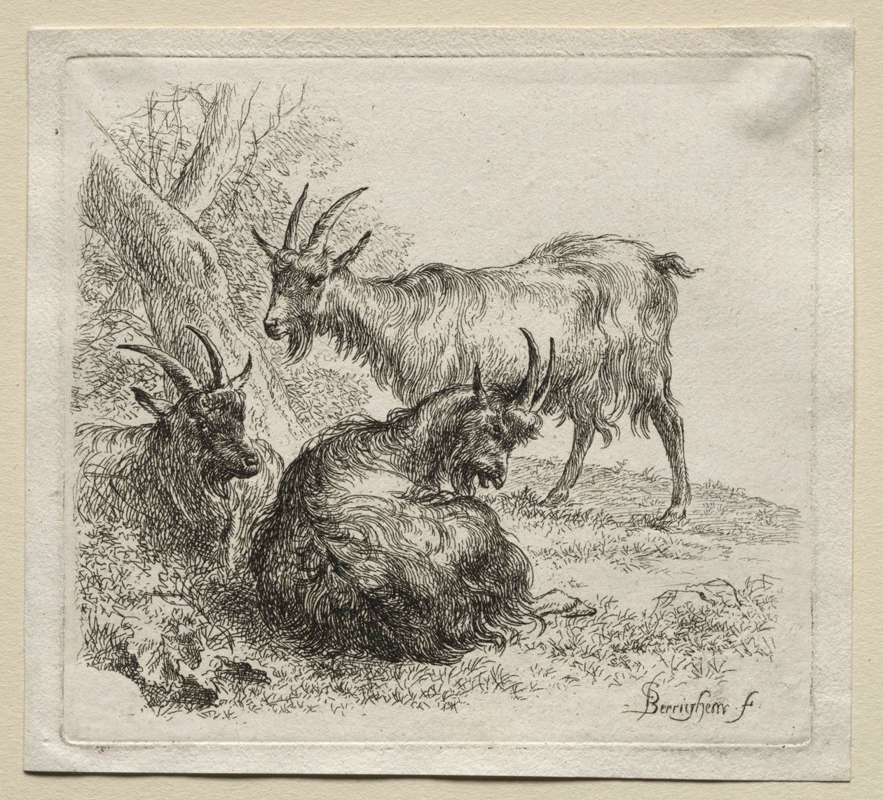 Trois chèvres - Nicolaes Pietersz. Berchem