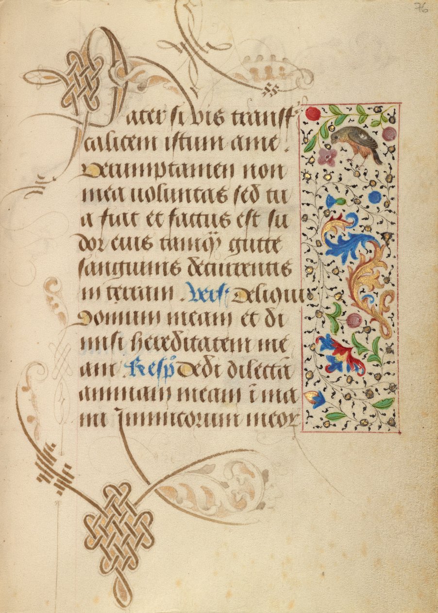 Page de texte décorée - Nicolas Spierinc