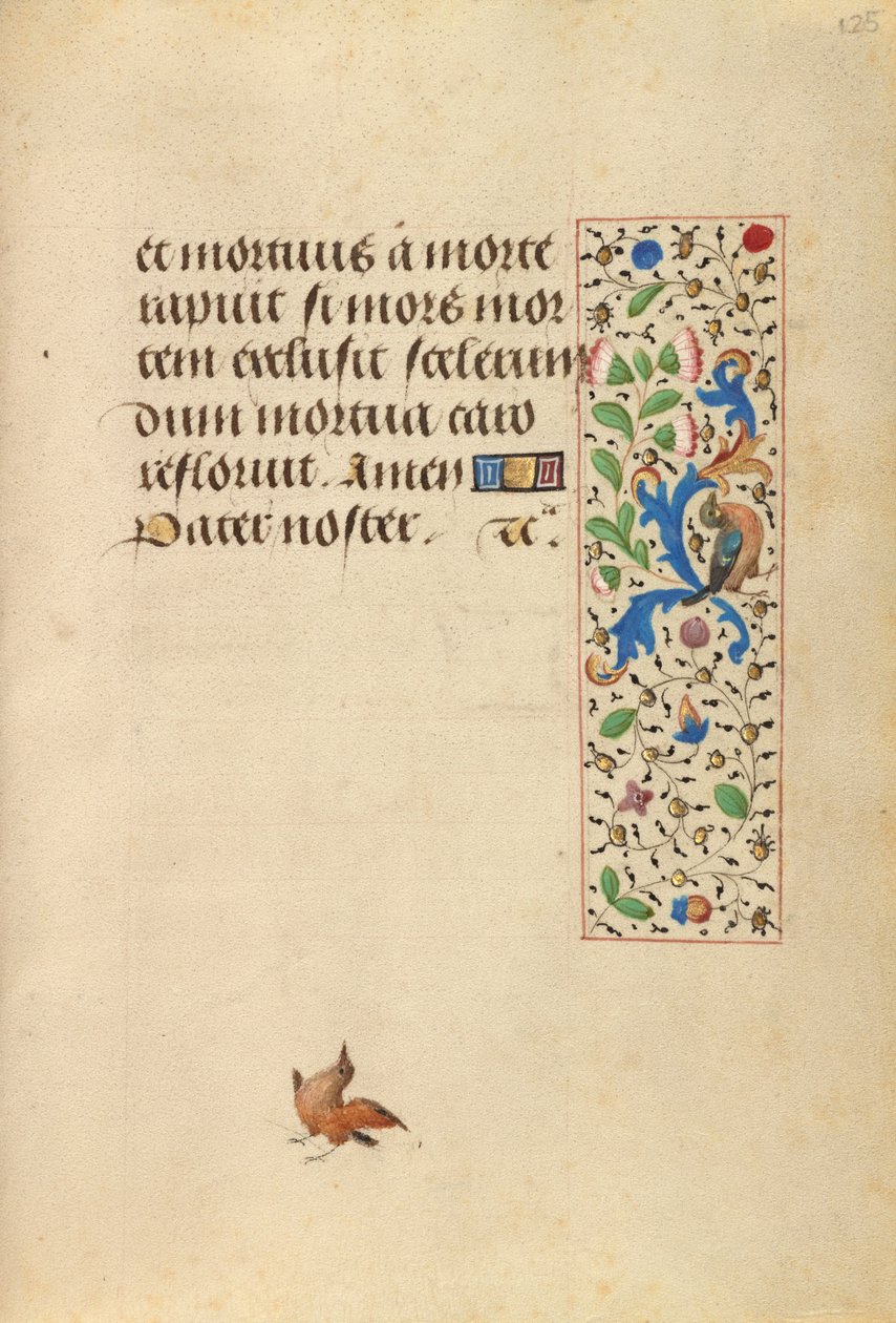 Page de texte décorée - Nicolas Spierinc