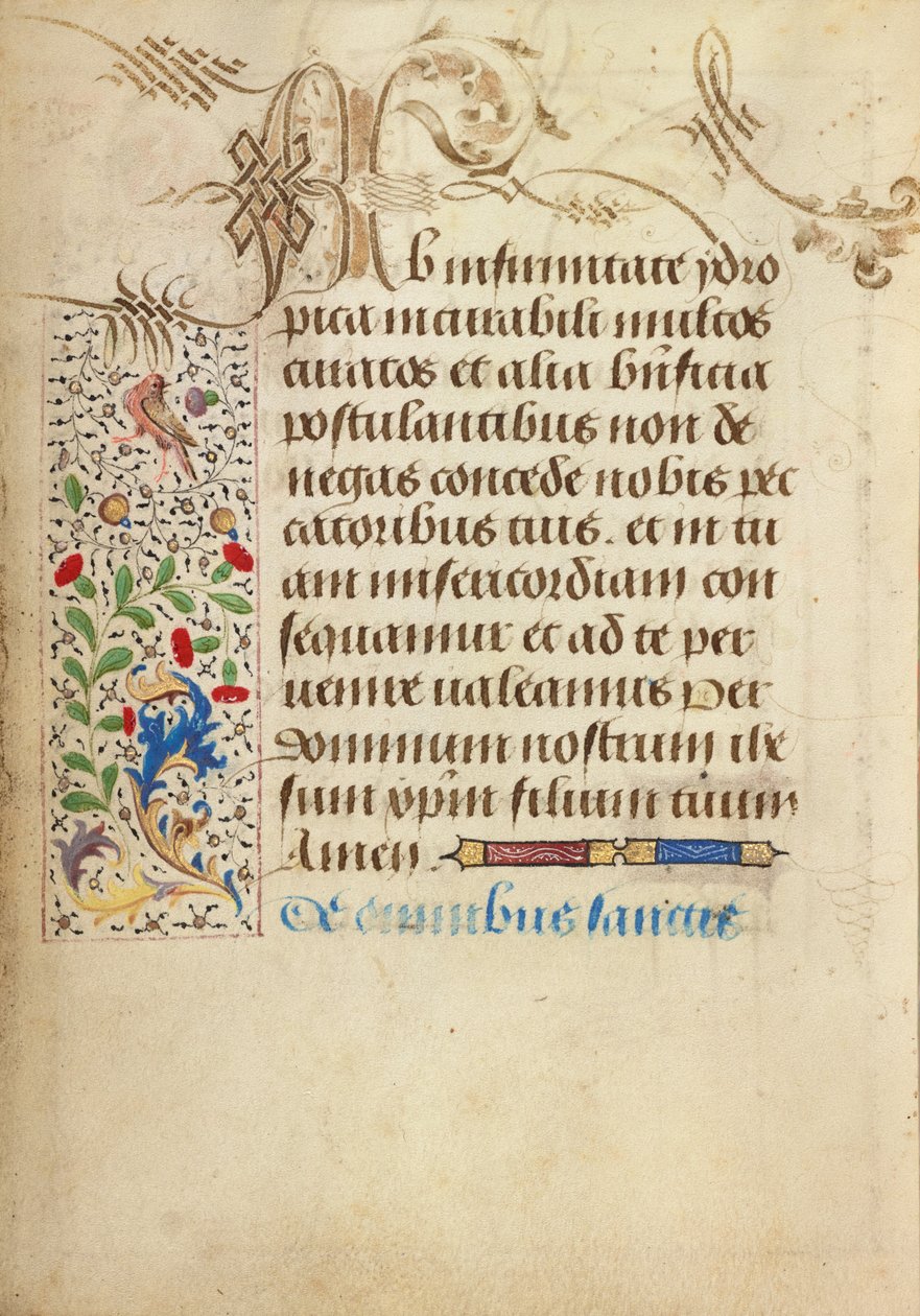 Page de texte décorée - Nicolas Spierinc