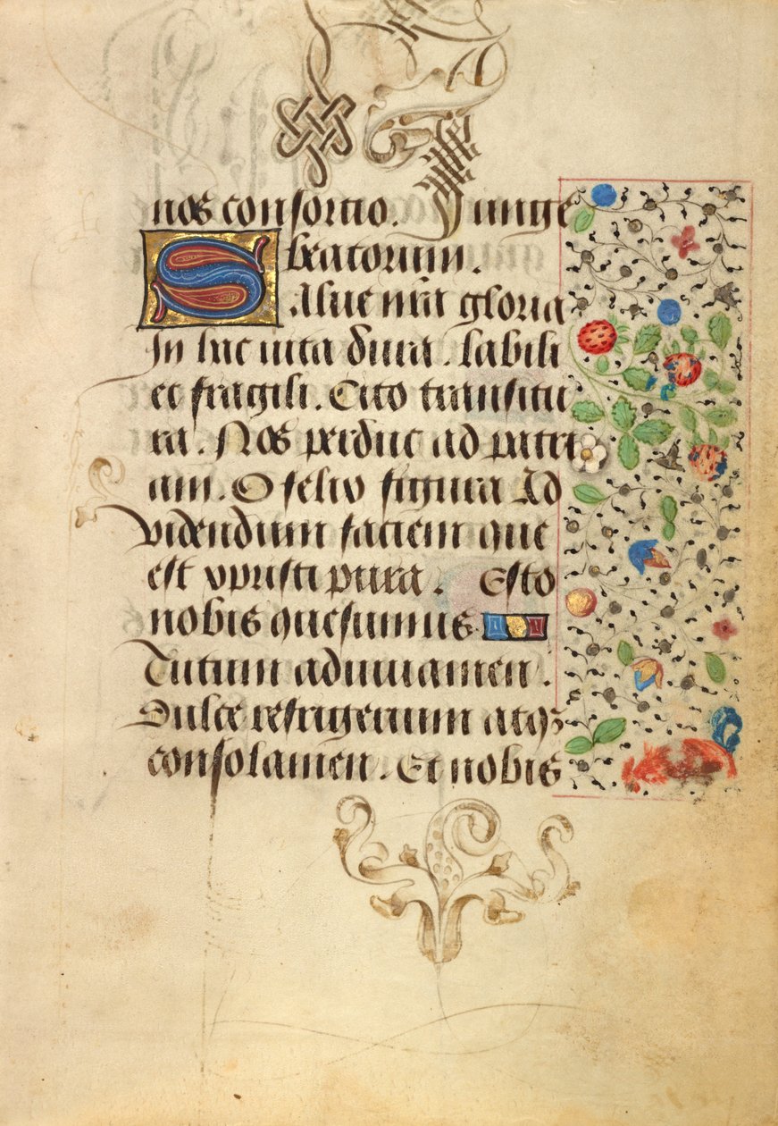 Page de texte décorée - Nicolas Spierinc
