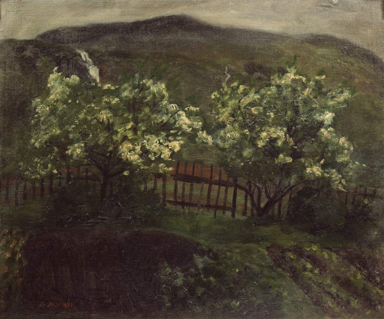 Pluie de printemps et cerisier - Nikolai Astrup