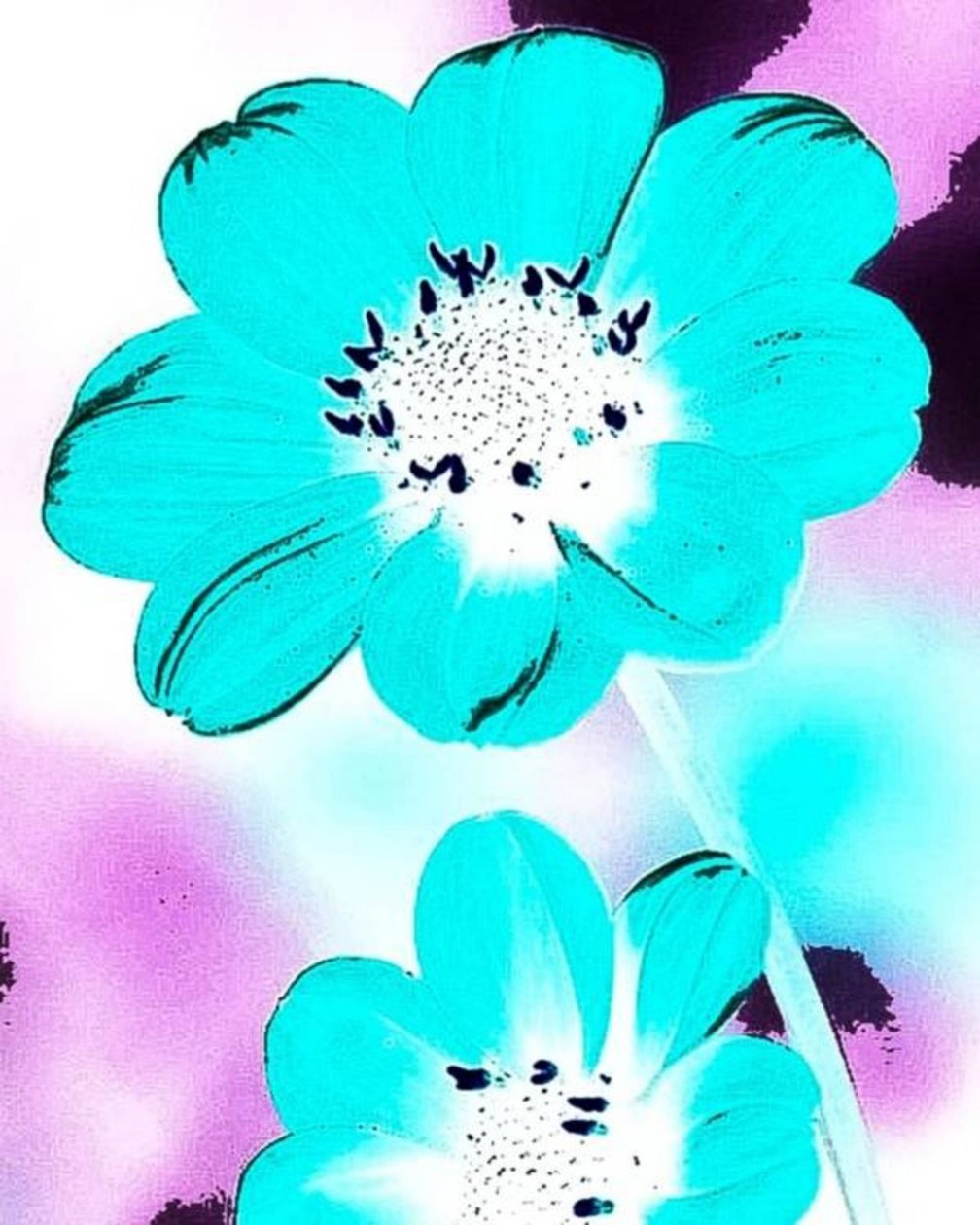 Fleur Bleue - Nomi Morina