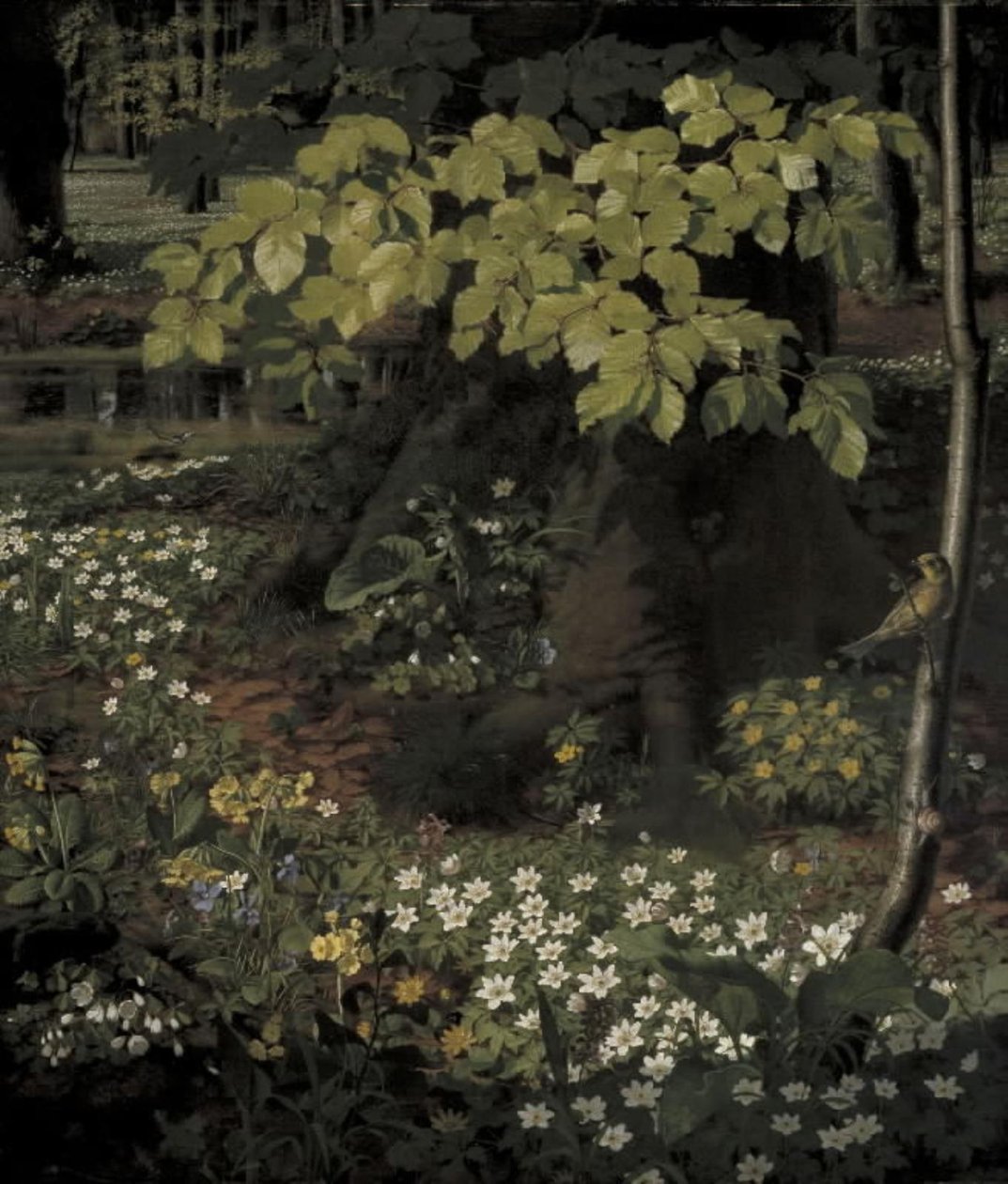 Printemps dans la forêt de Charlottenlund - O.D. Ottesen