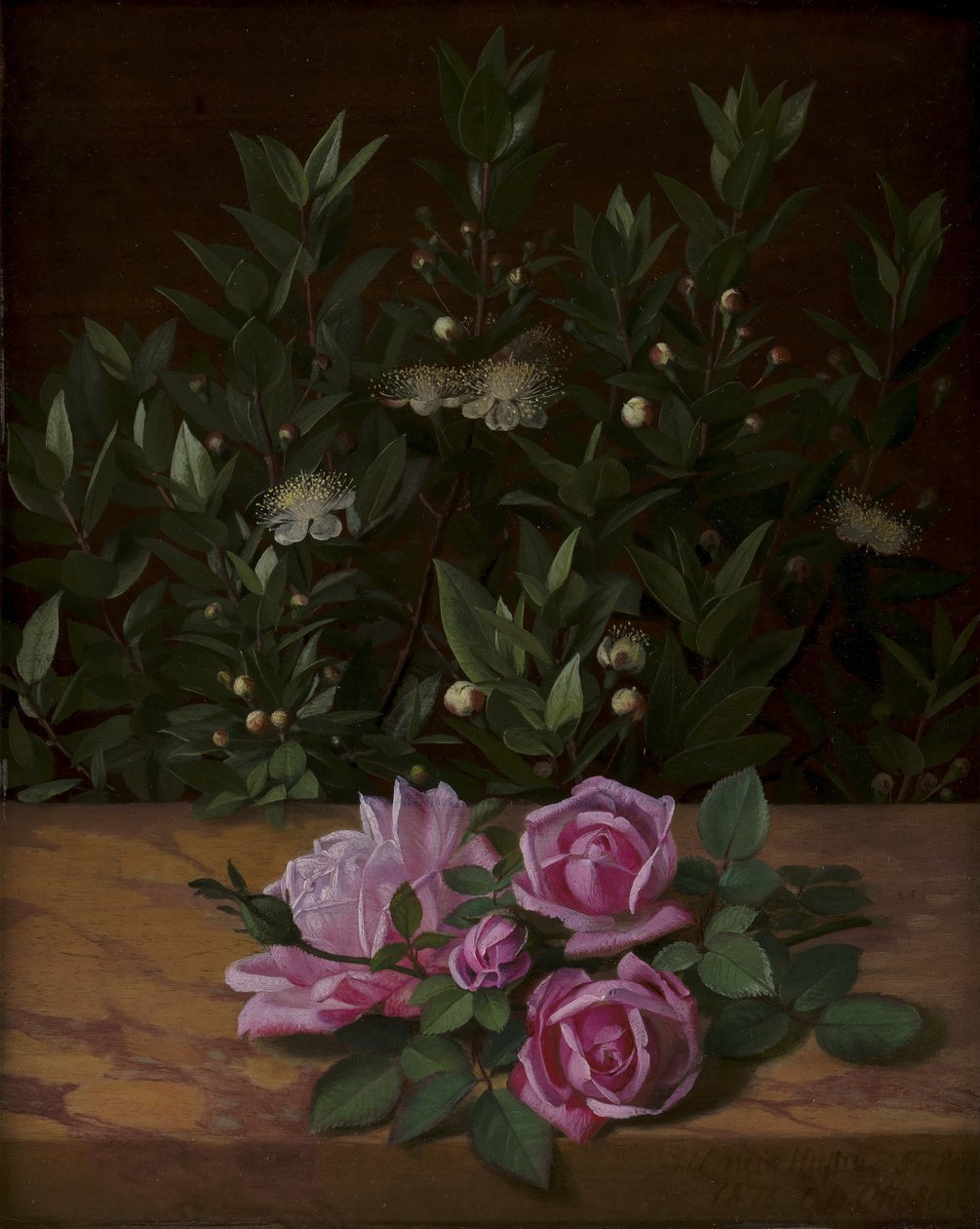 Roses et myrtes - O.D. Ottesen