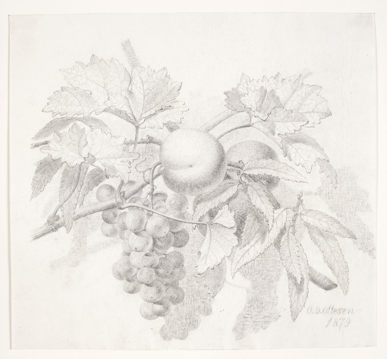 Raisins et pêches - O.D. Ottesen