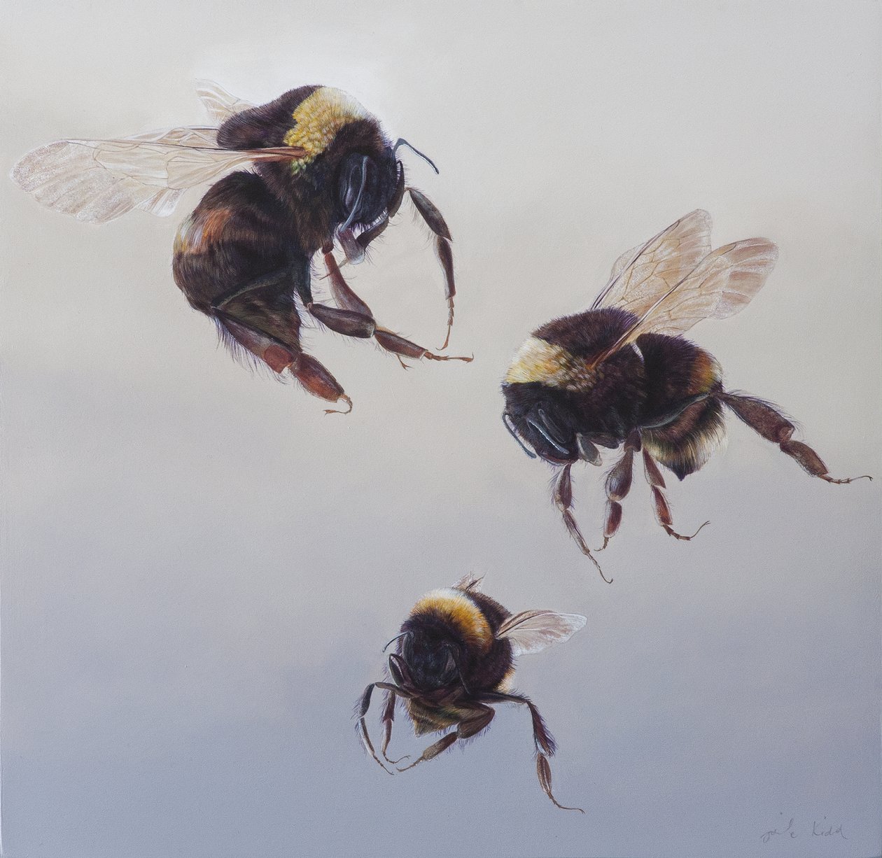 Bombus vol 1, 2011 (acrylique sur bois) - Odile Kidd