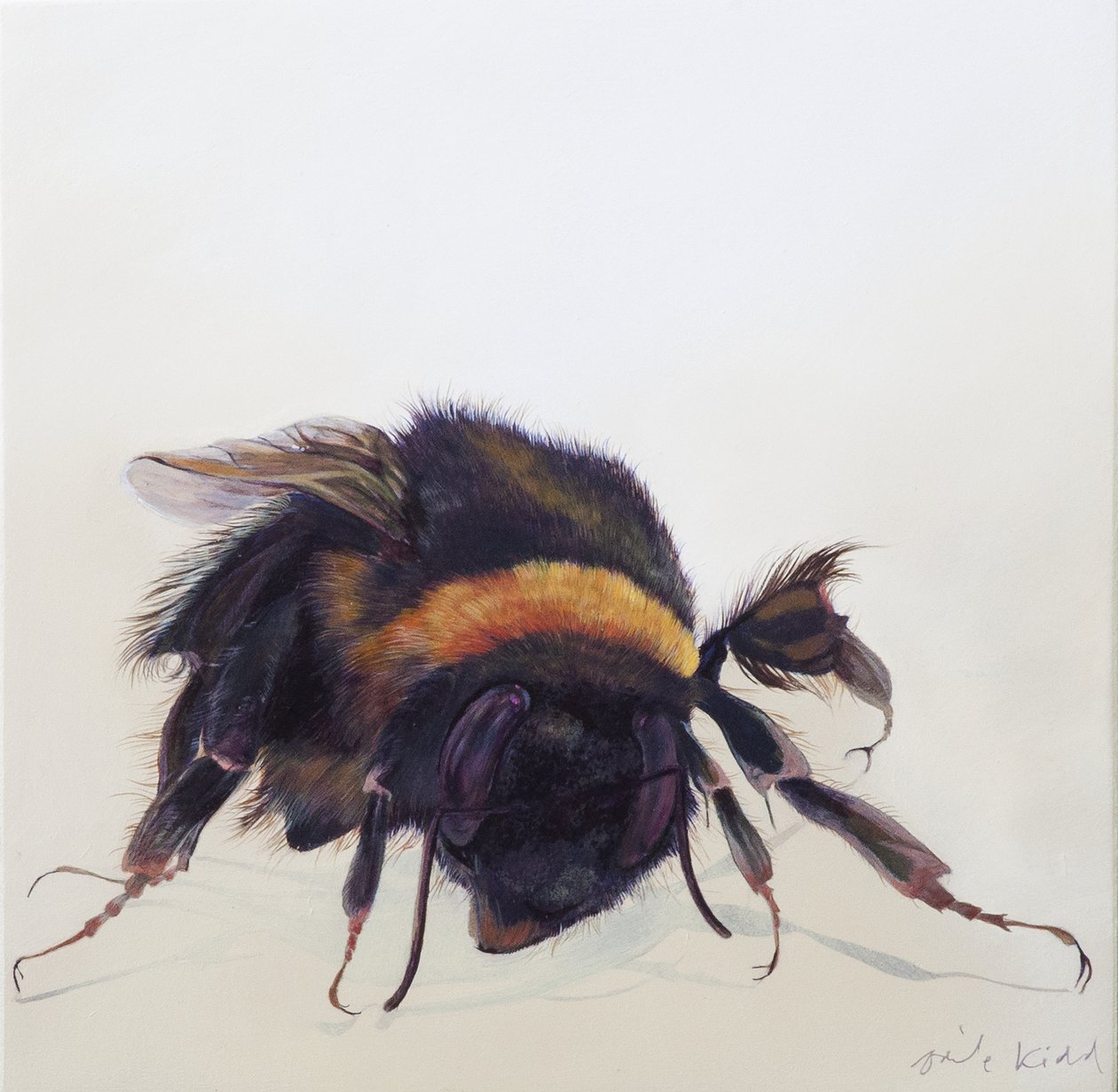 Bombus terrestris 9, 2013 (acrylique sur bois) - Odile Kidd