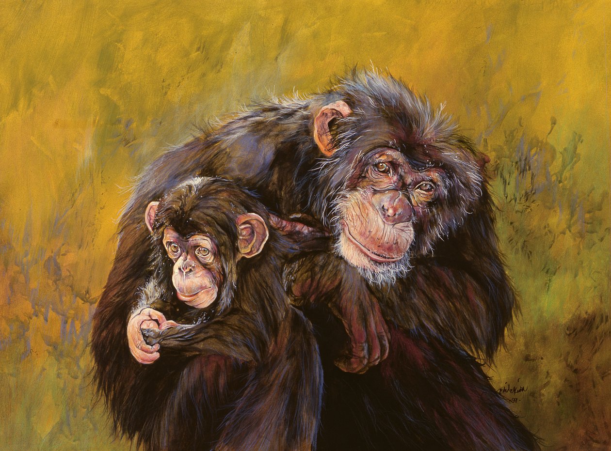Chimpanzés (acrylique sur toile) - Odile Kidd