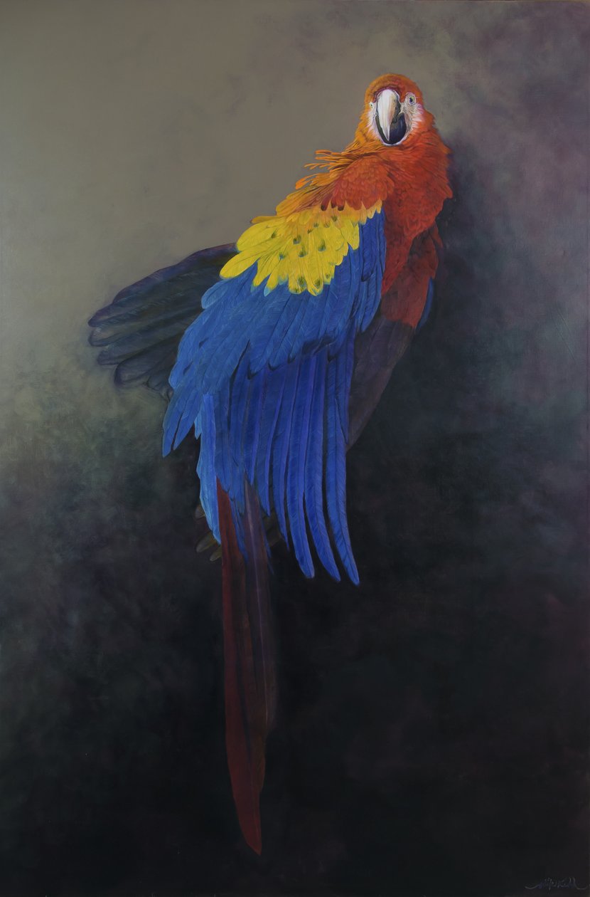 Ara écarlate 3, 2014 (acrylique sur lin) - Odile Kidd