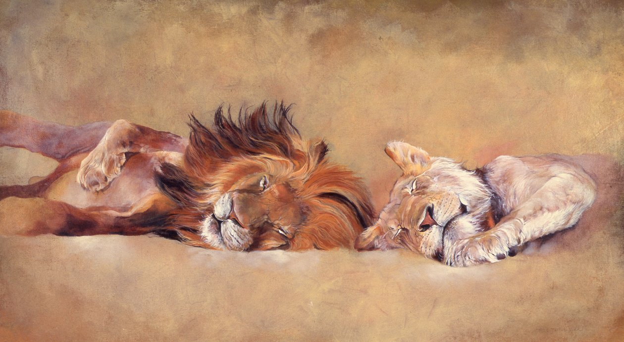 Sieste - Odile Kidd