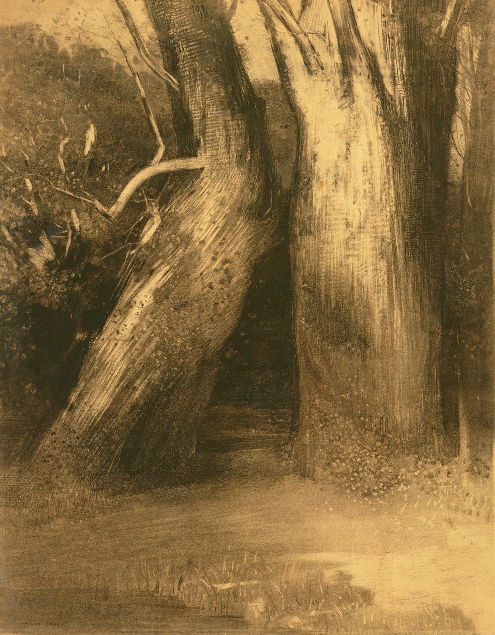Deux Arbres, vers 1875 - Odilon Redon