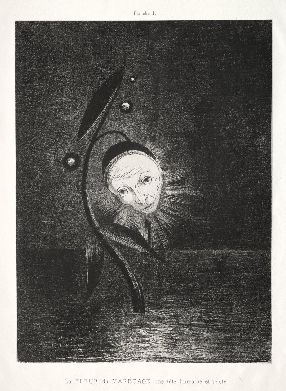 La fleur des marais, une tête humaine triste - Odilon Redon