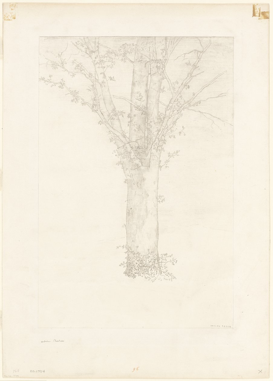 Arbre - Odilon Redon