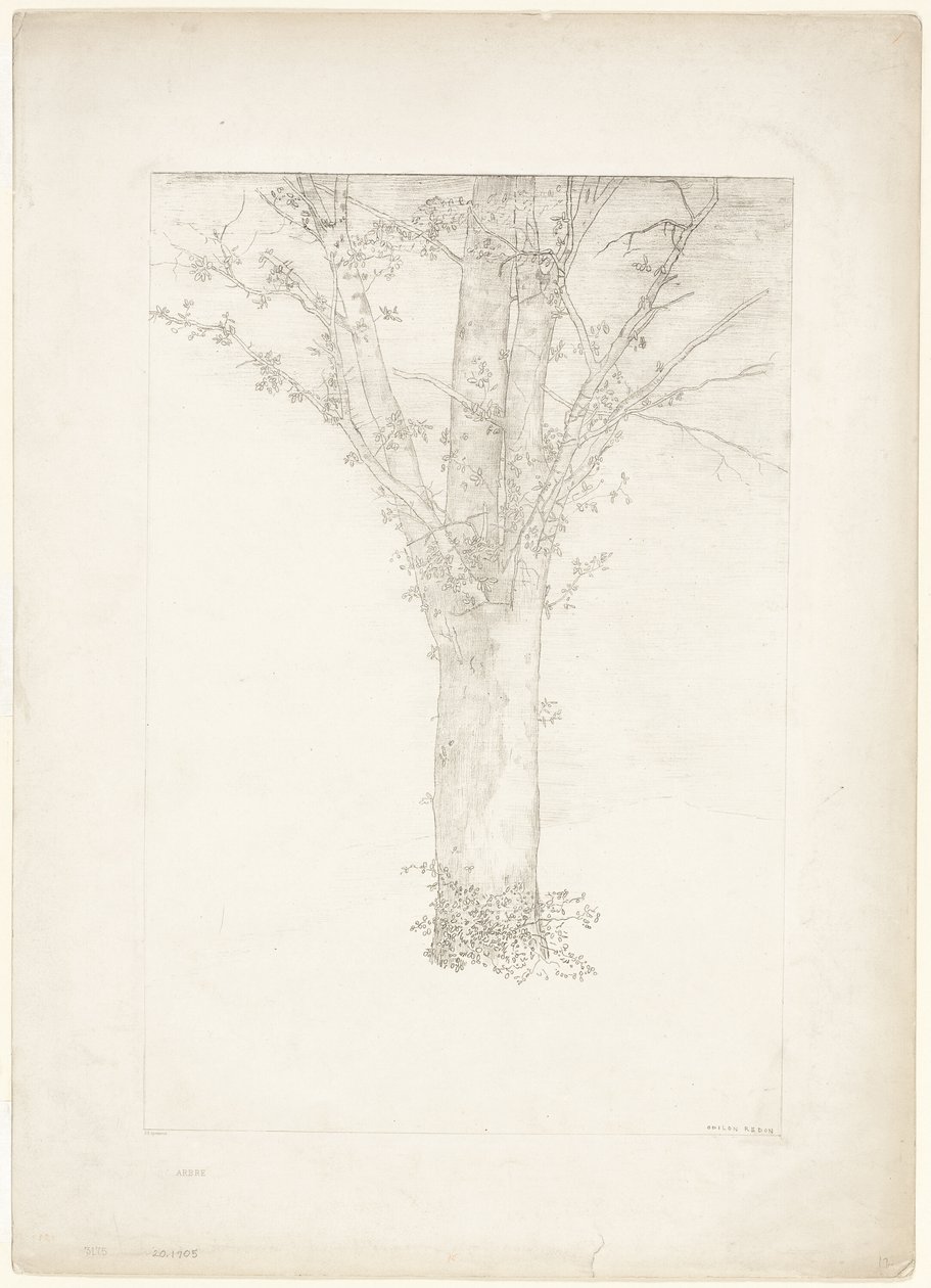 Arbre - Odilon Redon