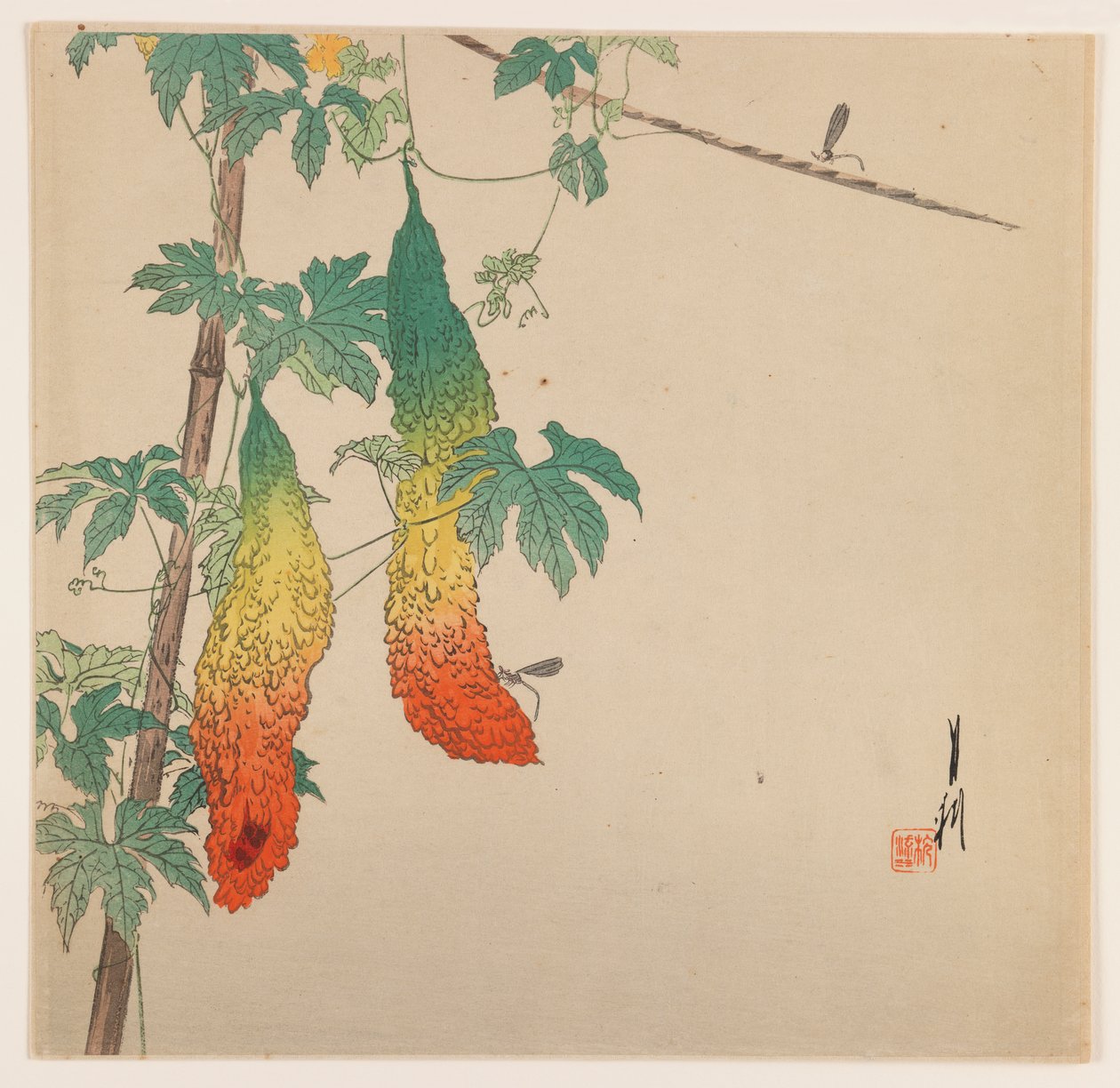 Gourdes et guêpe, vers 1890-1910 - Ogata Gekko