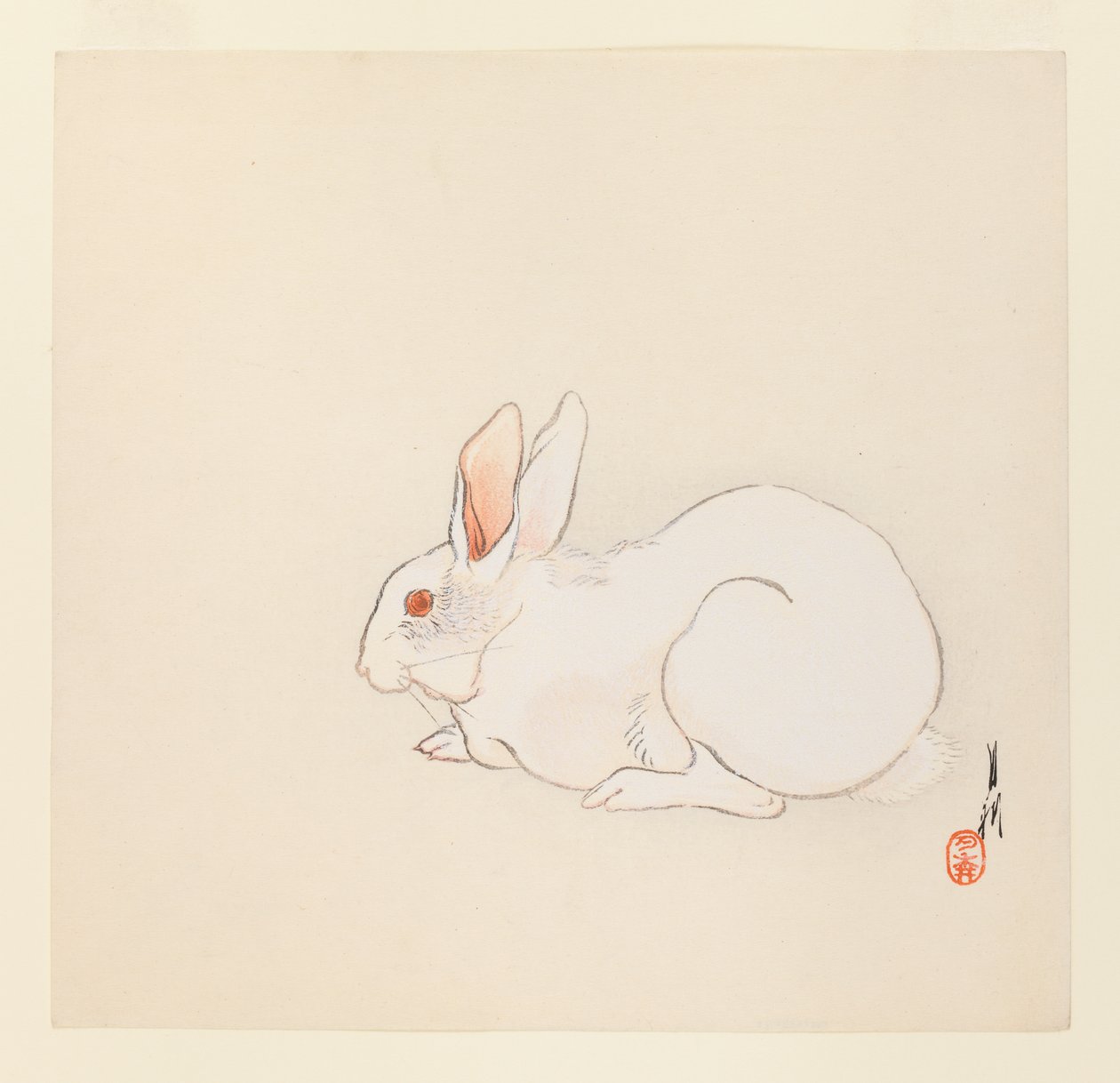Lapin blanc, vers 1890-1910 - Ogata Gekko