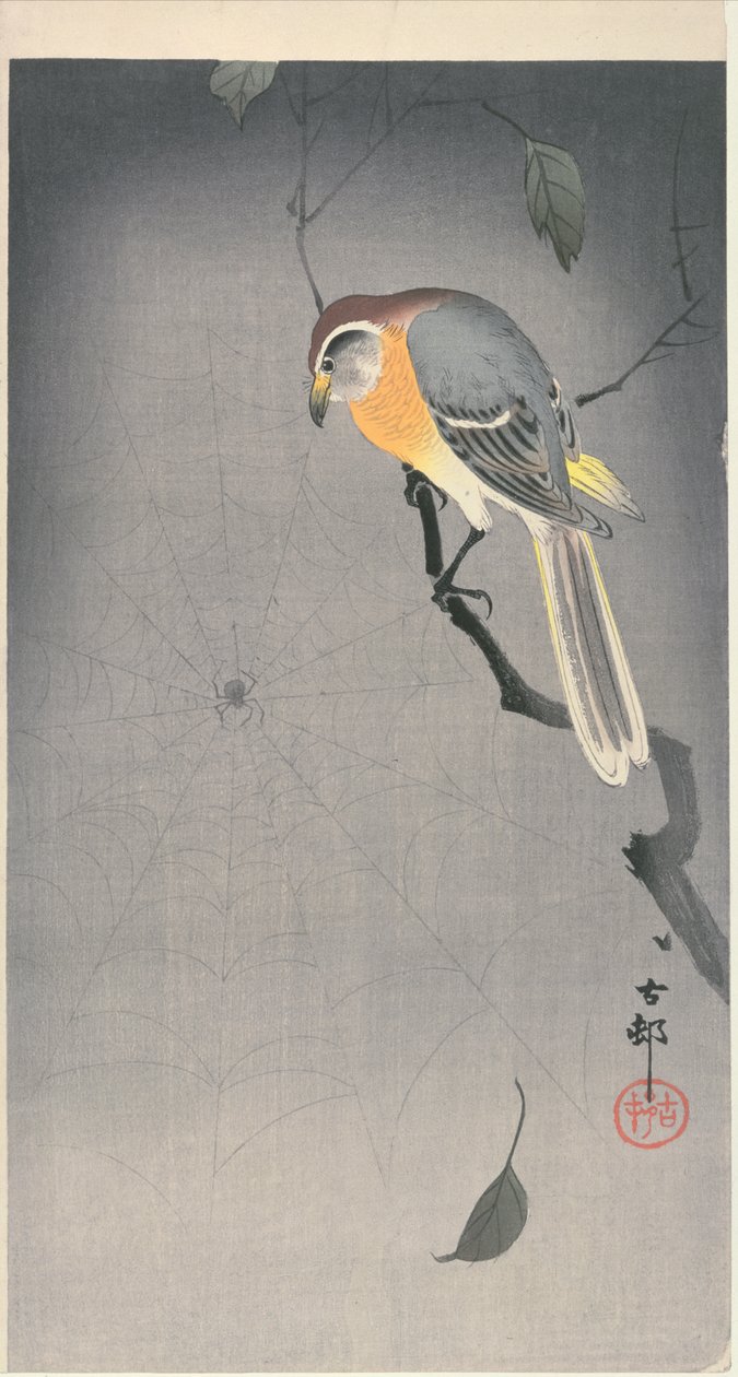 Oiseau sur une branche regardant une araignée, c. début 1900 - Ohara Koson