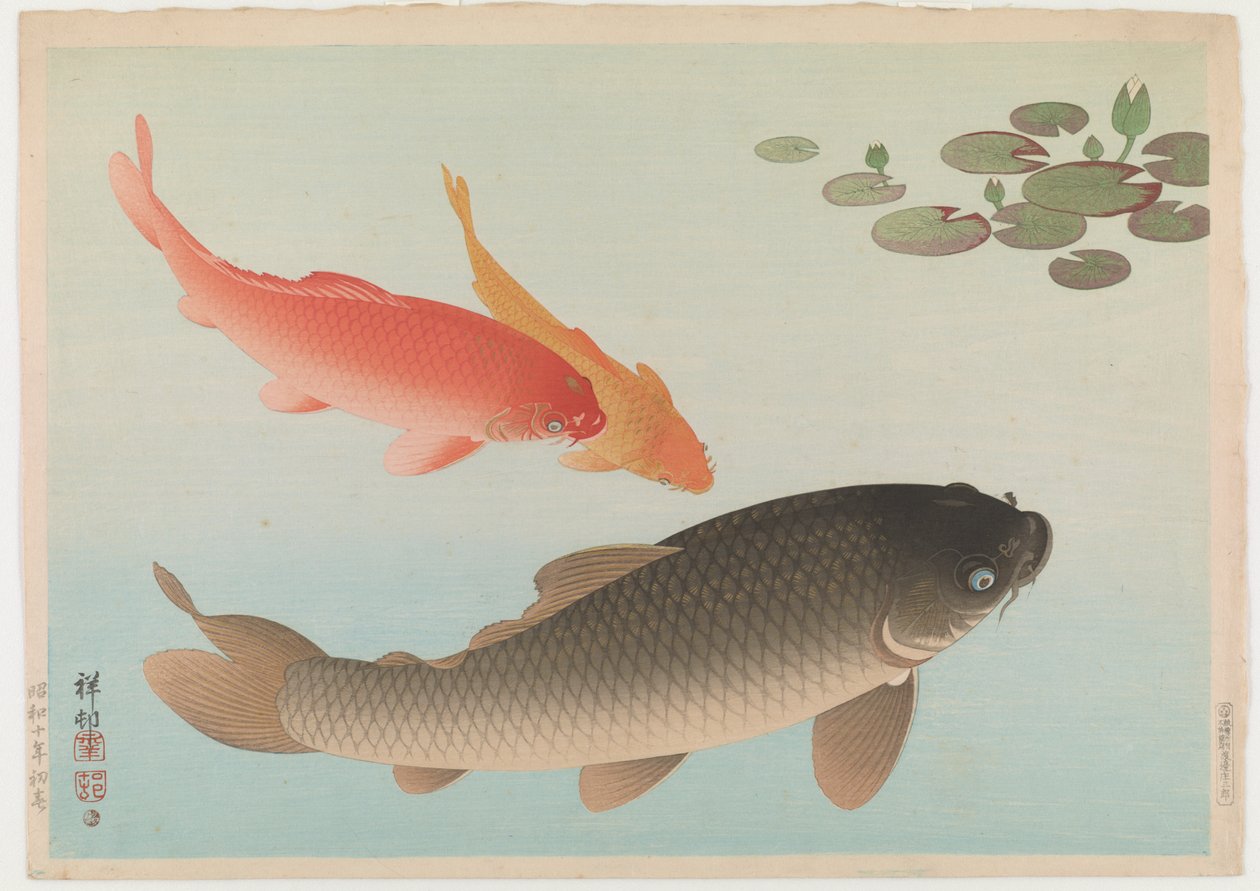 Carpe, 1935 - Ohara Koson