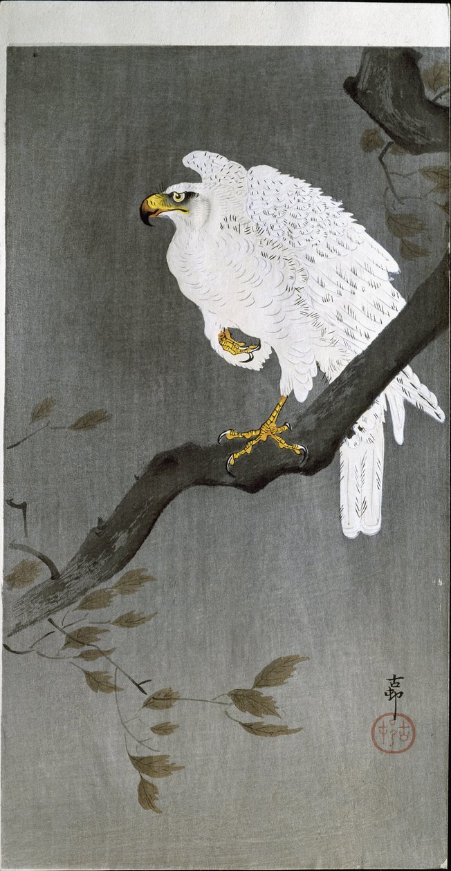 Faucon sur une branche, 1907 - Ohara Koson