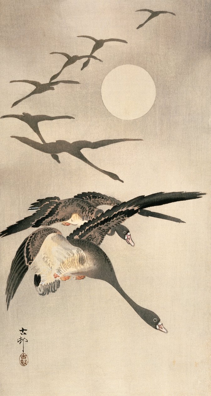 Oies volantes et pleine lune, vers début 1900 - Ohara Koson