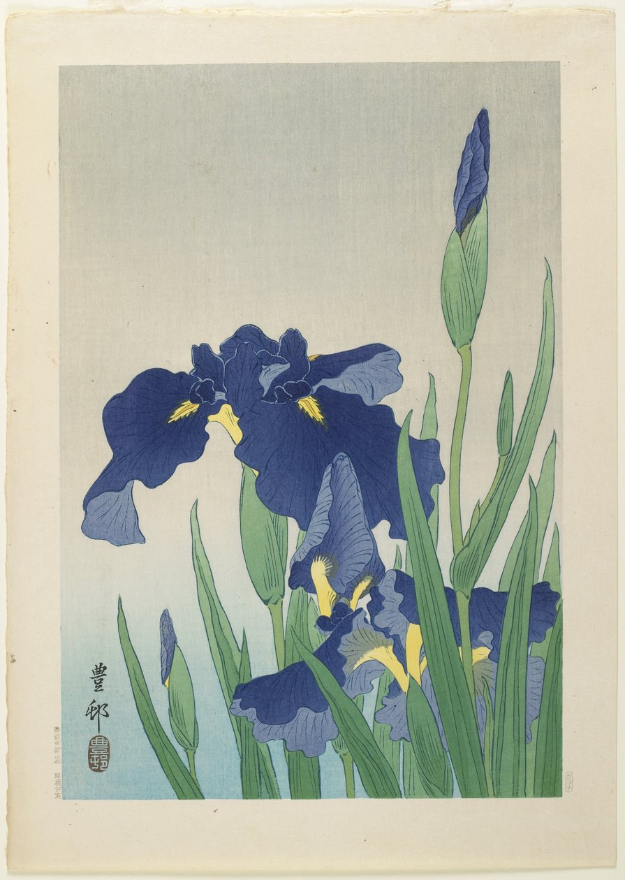 Iris, milieu du 20e siècle - Ohara Koson