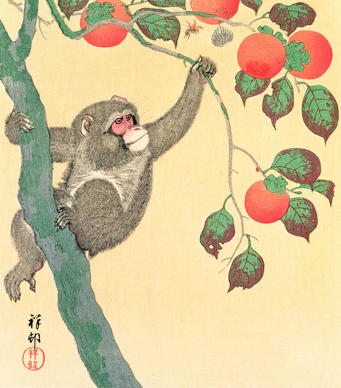 Singe dans un arbre à kakis, 1935 - Ohara Koson