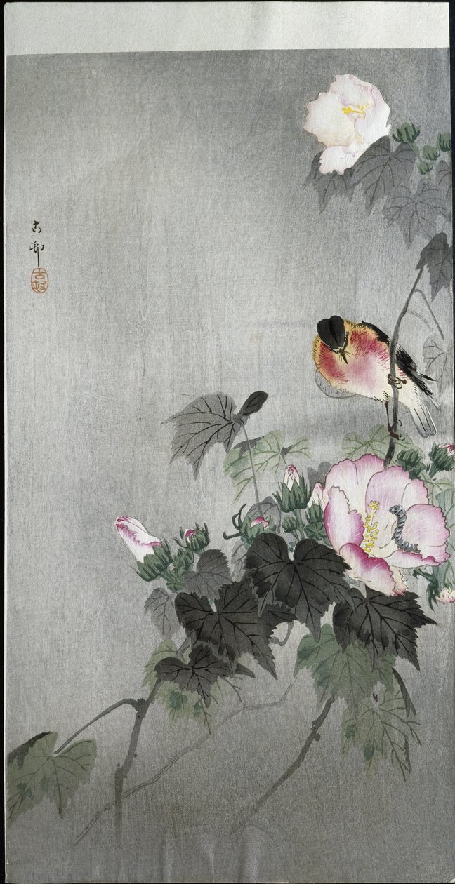 Traquet pâtre et fleur épanouie, 1907 - Ohara Koson