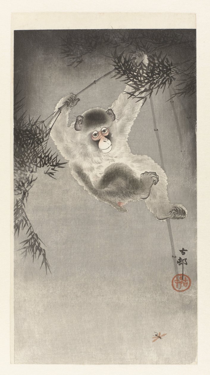 Singe suspendu à une branche de bambou - Ohara Koson
