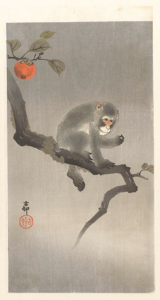 Singe dans un kaki - Ohara Koson