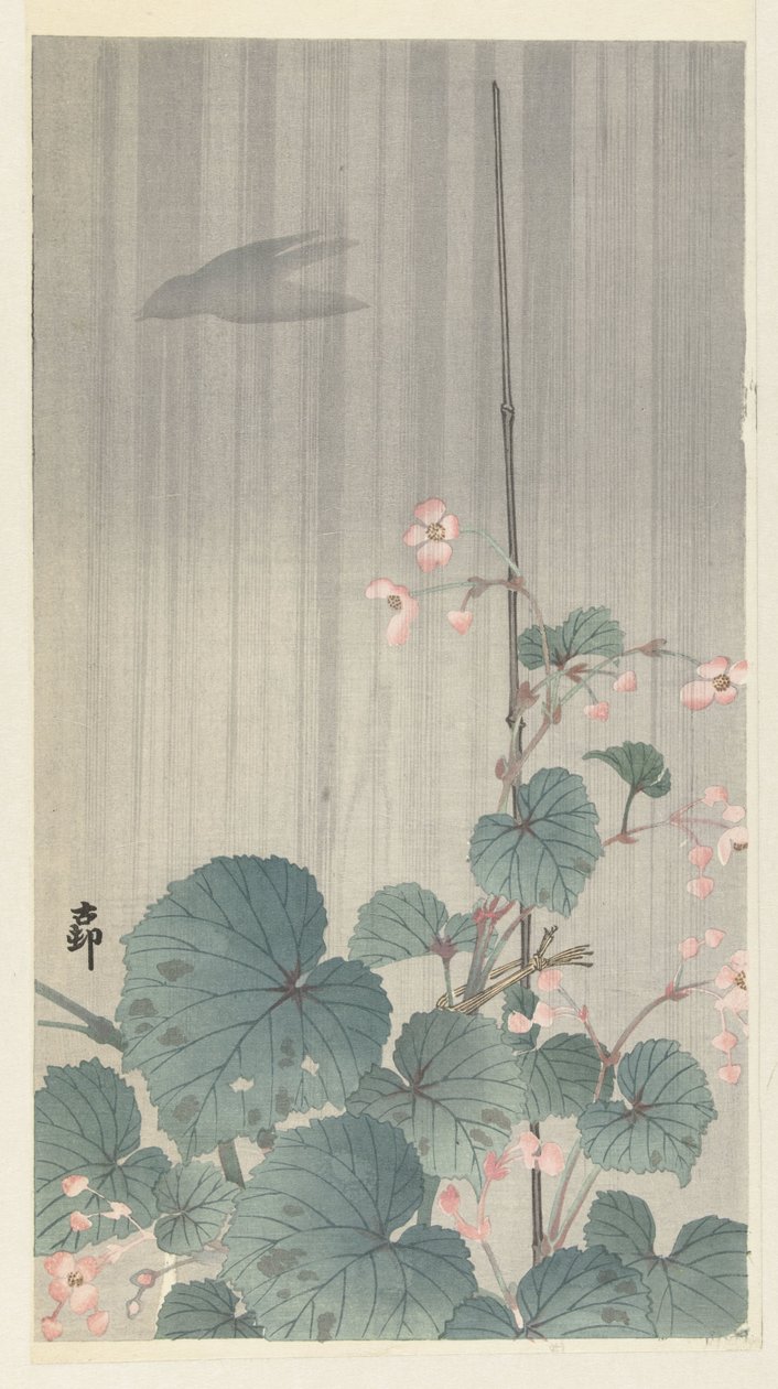 Bégonia sous la pluie - Ohara Koson