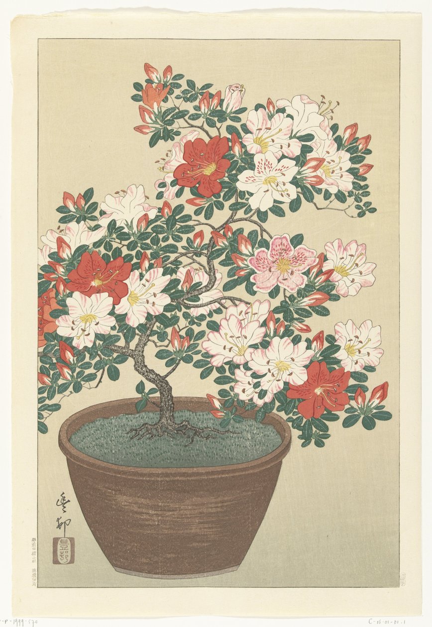 Azalée en fleur dans un pot brun - Ohara Koson