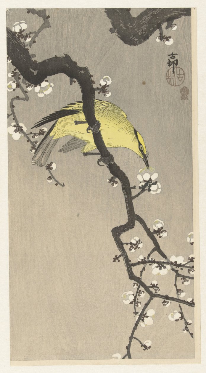 Loriot chinois sur une branche de prunier - Ohara Koson