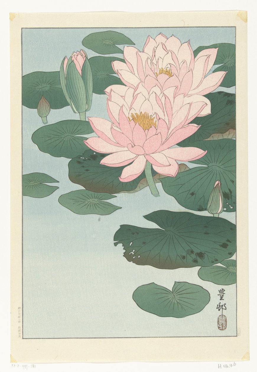 Nénuphar en fleur - Ohara Koson