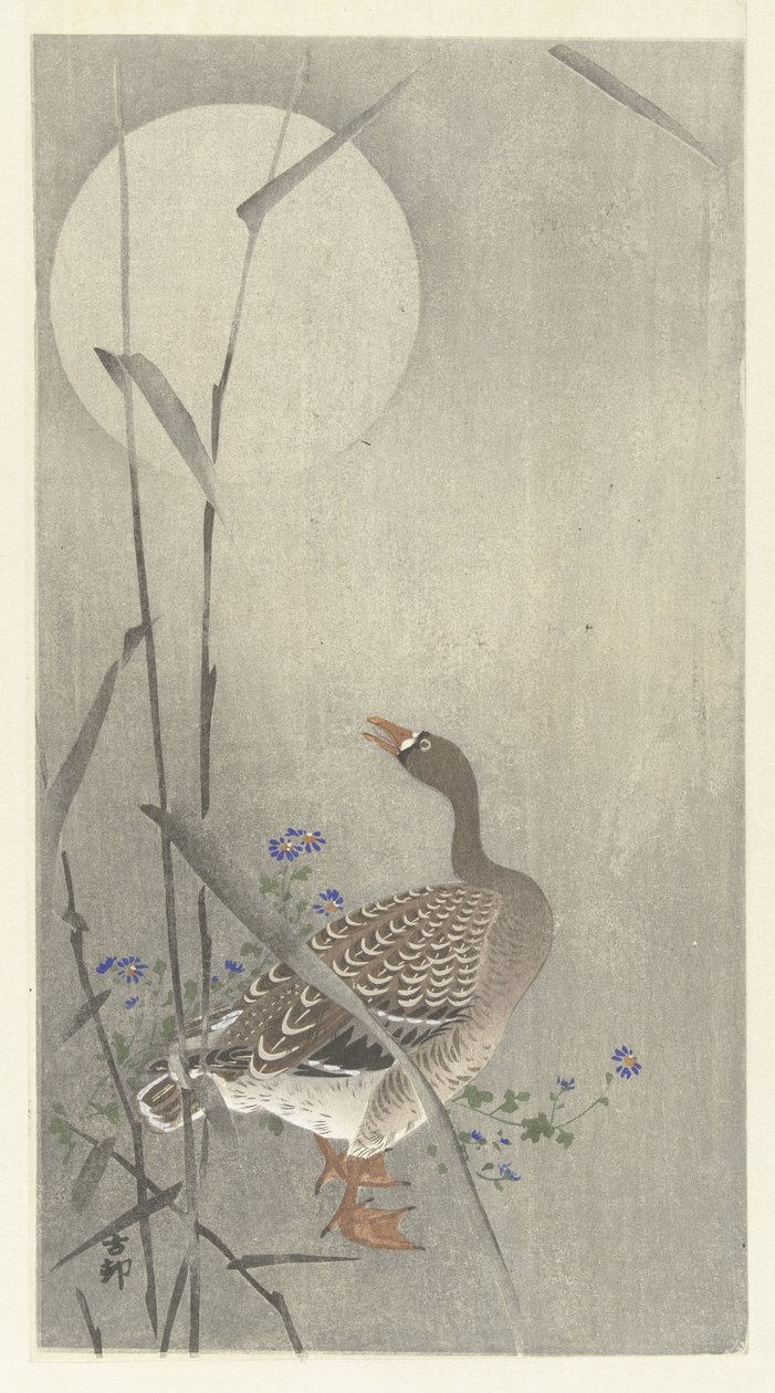Oie sous la pleine lune - Ohara Koson
